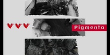 Pigmenta 
