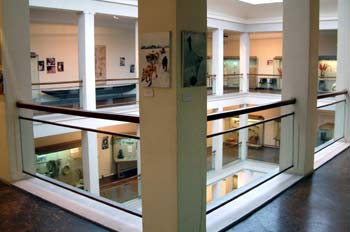 Interior del Museo Nacional de Antropología, Madrid