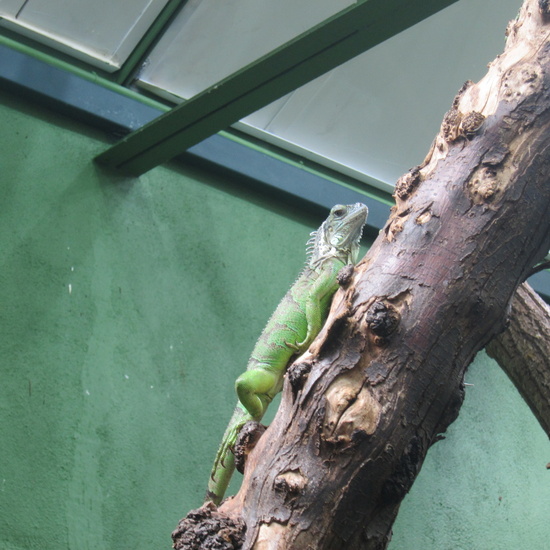 Granja Escuela Educación Infantil Curso 2017-18 14