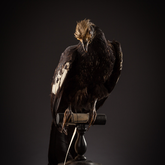 IES_SANISIDRO_BIOLOGIA_356