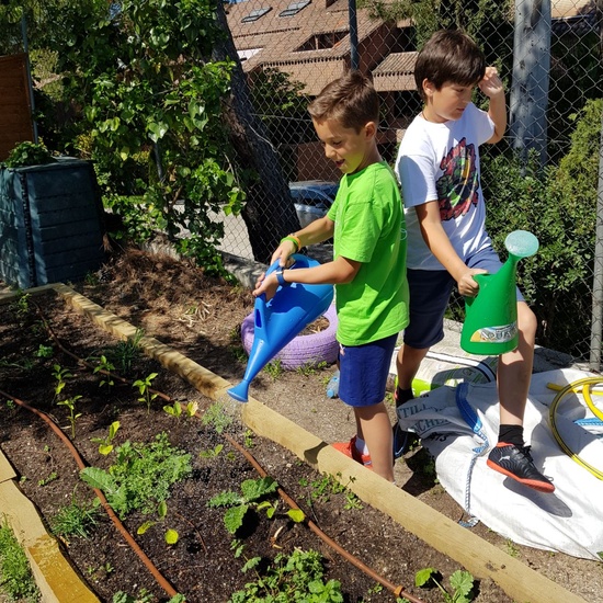 5º RIEGA HUERTO_CEIP FDLR_LAS ROZAS 11