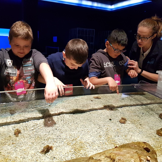 Fotos Aquarium Xanadú 3ºB 12