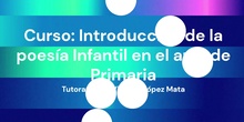 Curso en línea