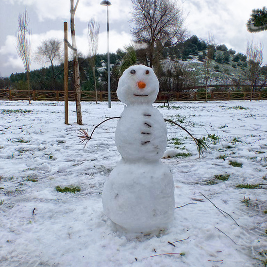 Fotografías Filomena 8