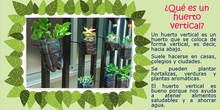 Definición huerto vertical