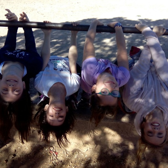 Moheranado 2017_24oct 11