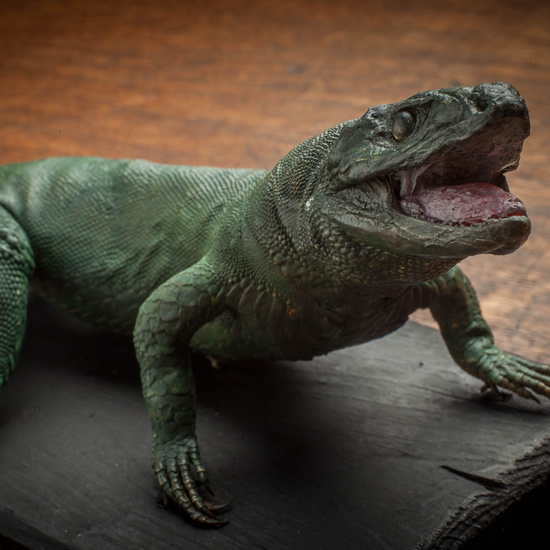 IES_CARDENALCISNEROS_CIENCIASNATURALES_287