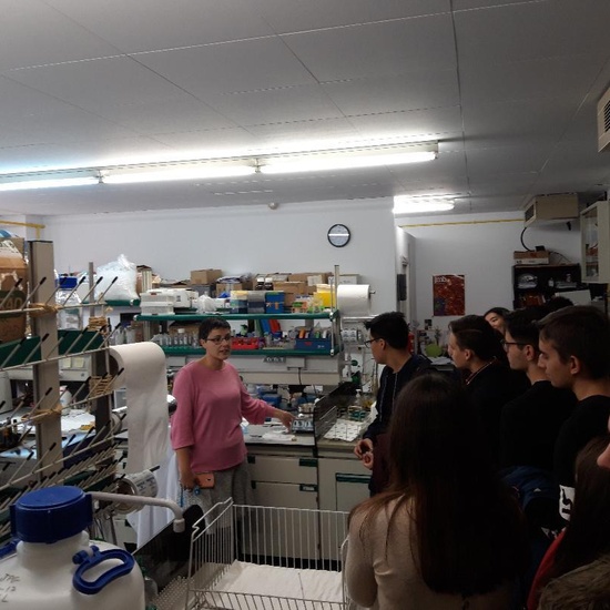 Alumnos del IES Neil Armstrong de Valdemoro en la Facultad de Biológicas. UCM. Semana de la Ciencia. Taller de bioquímica 