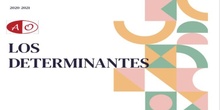 DETERMINANTES_6º