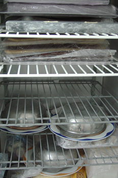 Cámara de congelación