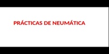 NEUMATICA