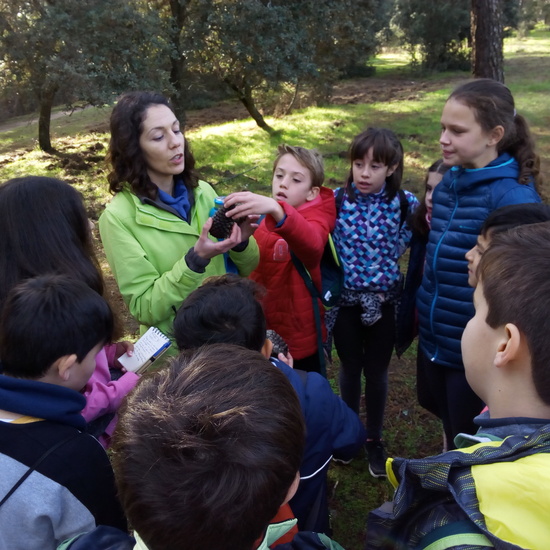 VISITA A GREFA. 5º CURSO 17