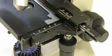 Tornillos de enfoque de un microscopio