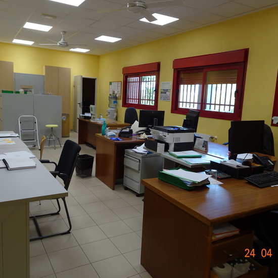 IES Tirso de Molina 44