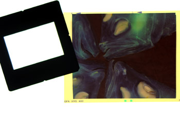 Negativo color 120mm