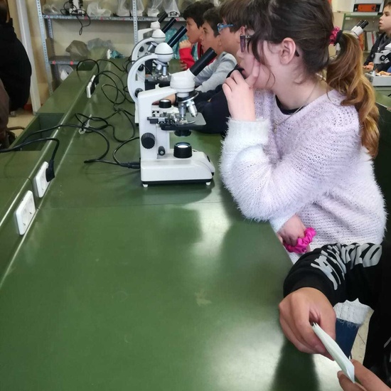 2019_03_06_Sexto visita el IES I_CEIP FDLR_Las Rozas 2