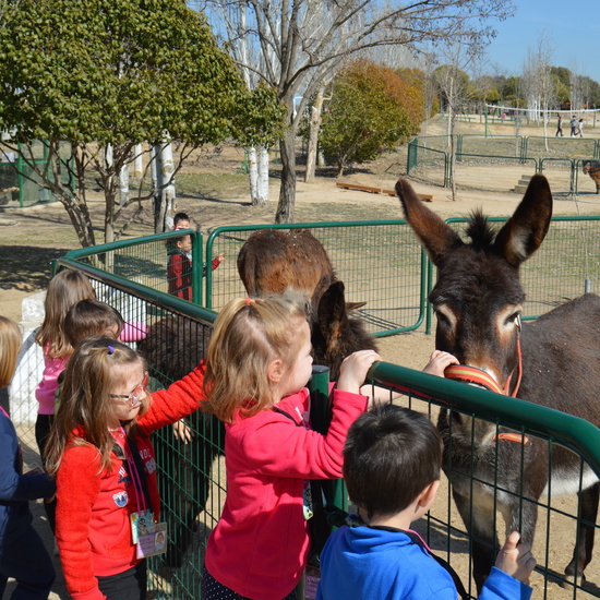 GRANJA ESCUELA ALBITANA 2018 38