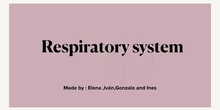 RESPIRATORY SYSTEM 2