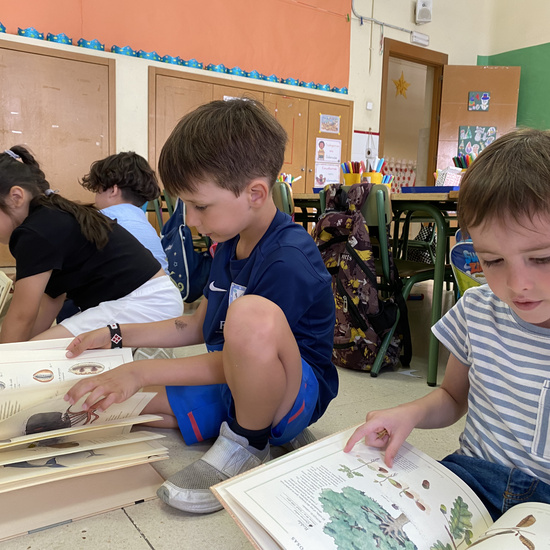 Regalo AFA Infantil 5 Años 34