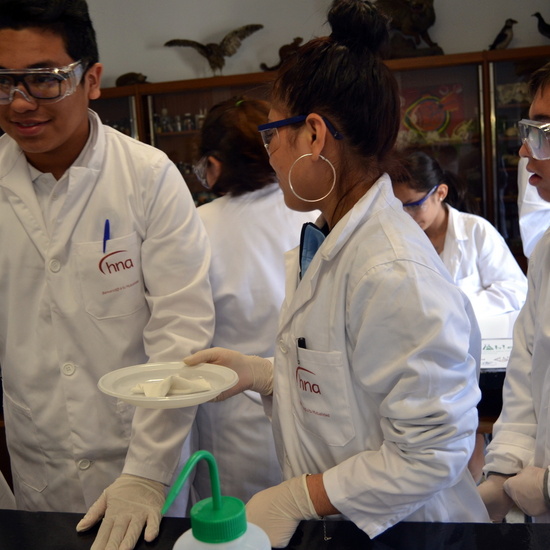 Proyecto de Aprendizaje y Servicio 5