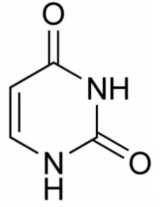 Uracilo