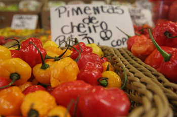 Pimientos del Mercado Municipal de Sao Paulo, Brasil