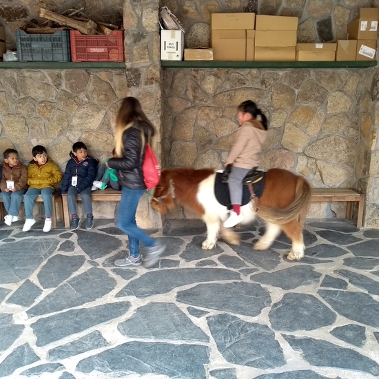 Granja de los Cuentos Infantiles II 22