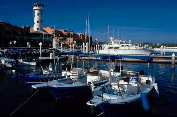 Cabo San Lucas, Baja California
