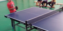 ping-pong 6