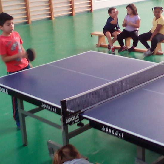 ping-pong 6