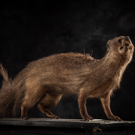 IES_SANISIDRO_BIOLOGIA_324