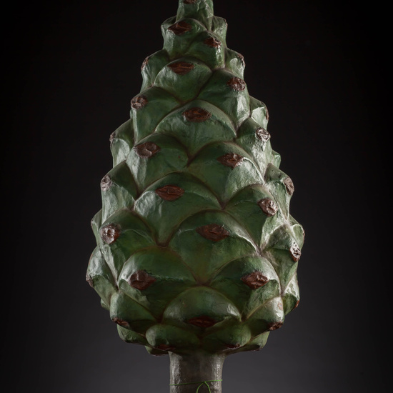 IES_CARDENALCISNEROS_BOTÁNICA_III_MODELOS_016