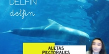 LOS DELFINES