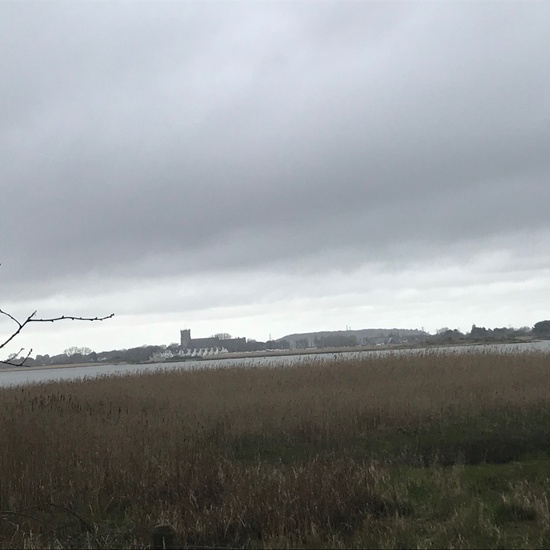 Inglaterra Curso 2019-2020 31