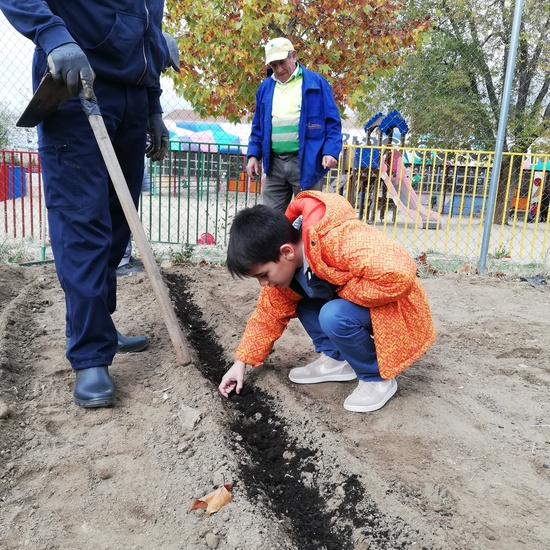 Huerto escolar 2019/20 50