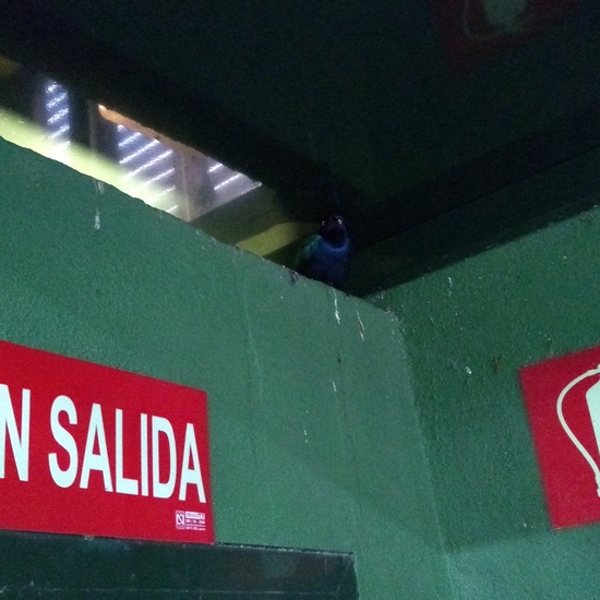 Granja de los Cuentos Infantiles I 21