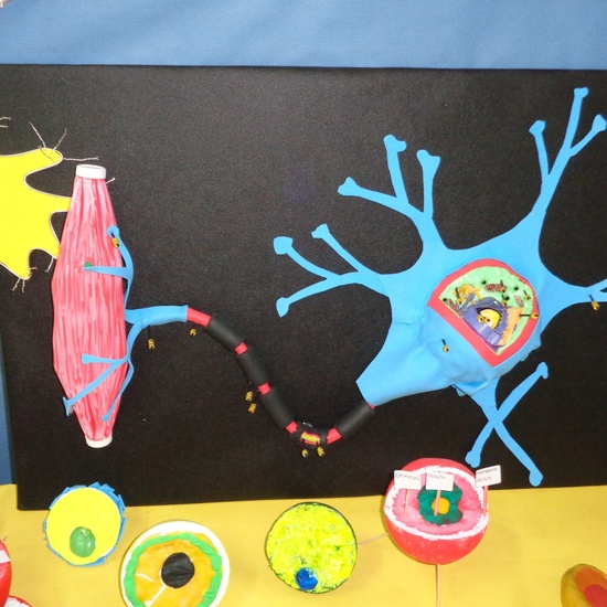 NUESTROS TRABAJOS 10