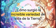 Vídeo resumen "La evolución de los seres vivos" 4º ESO, Biología