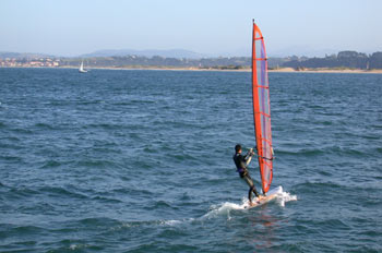 Windsurf