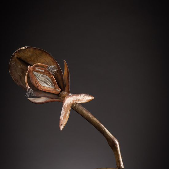 IES_ISABELLACATOLICA_BIOLOGIA_106