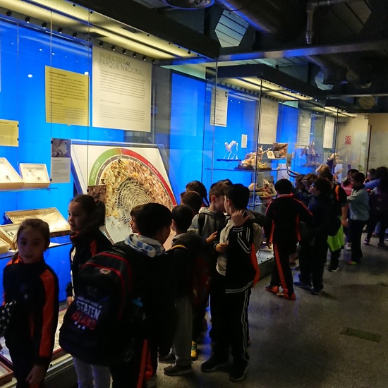 Excursión al museo de ciencias 4