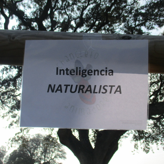 EN MÚLTIPLE 6º - 2019 (2ª Parte) 26