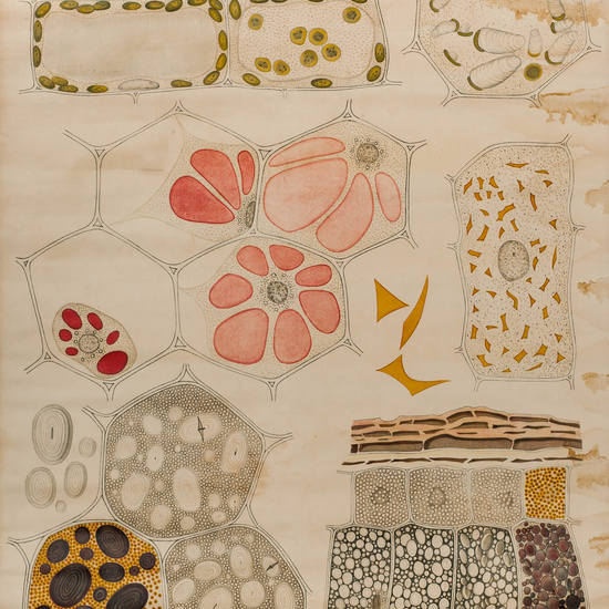 IES_SANISIDRO_LAMINAS_036