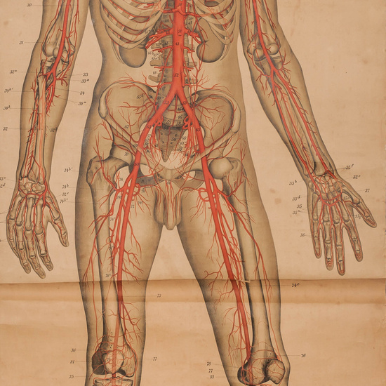 IES_LOPEDEVEGA_CIENCIASNATURALES_026