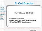Manual de ayuda del uso del calificador