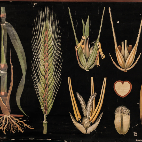 IES_LOPEDEVEGA_CIENCIASNATURALES_047