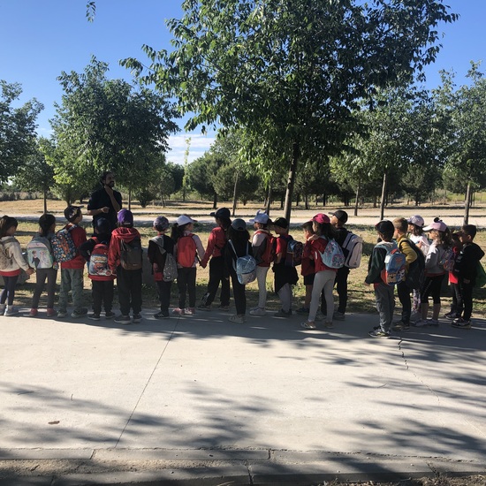 Bosque Metropolitano 1ºA