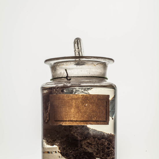 IES_CARDENALCISNEROS_CIENCIASNATURALES_094