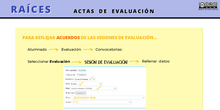 RAÍCES - Actas de Evaluación