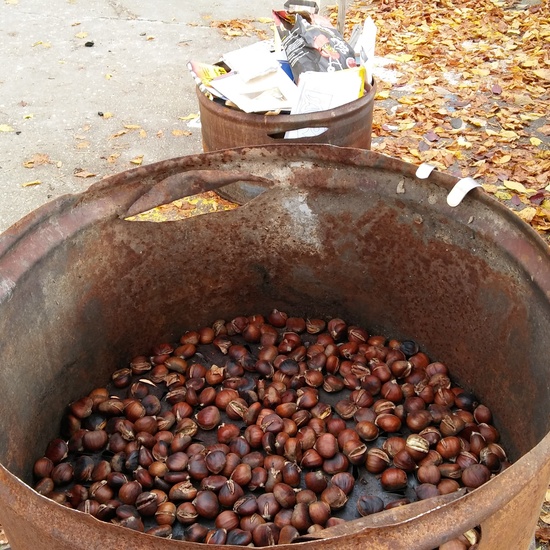 MERCADILLO OTOÑO 2018 13